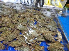 -济南海鲜大市场