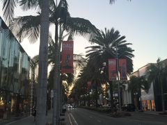 -比弗利花园