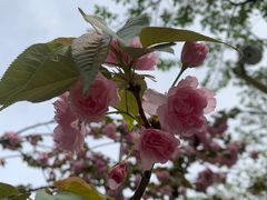 -西北湖绿化广场