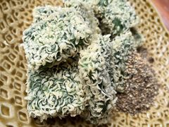 -古城苗家土菜馆(河景餐厅店)