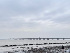 -南汇新城海滩
