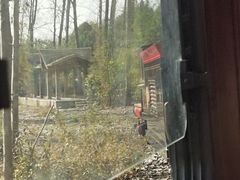 -合肥滨湖国家森林公园