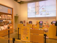 -KAKAO FRIENDS(弘大店)