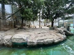 -灵玲国际马戏城