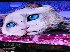 -观音桥步行街