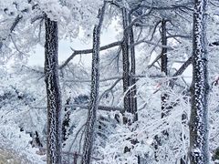 -天柱山风景区