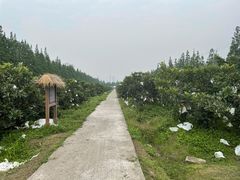 -前小桔亲子创意农场·草莓采摘·露营烧烤