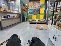 -严国平动物医院(德政总院)