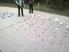 -房湖公园