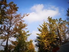 -白鹭湾湿地公园