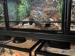-FAIRYLAND龙族星球主题餐厅(凯丹广场店)