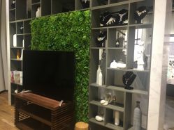 -南京宝娜嫁衣婚纱礼服馆(中央路店)