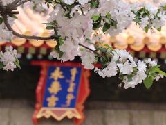 -故宫博物院(故宫)