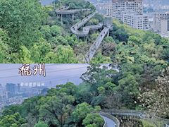 -福道