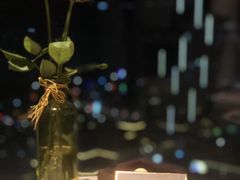 -珠海拱北口岸富华里中海雅高铂尔曼酒店