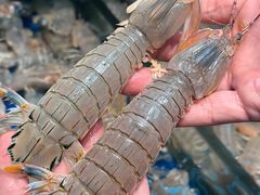 -望海湾海鲜楼·海鲜(河南路店)