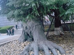 -侵华日军南京大屠杀遇难同胞纪念馆
