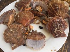 -东戴河风景区-止锚湾