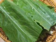 -东道煮牛肉火锅(东盛大街店)