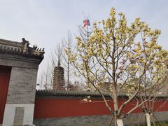 -西海子公园