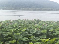 -南北湖风景区