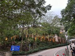 -香港大学