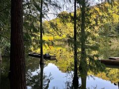-深圳仙湖植物园