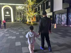 -龙盛活力小镇