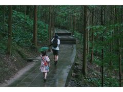 -凤栖山
