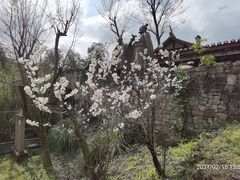 -驿舍·民國老营房院子私房菜(科学会堂店)