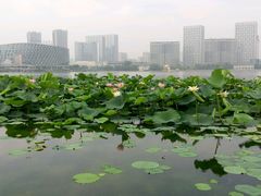 -聚龙湖公园