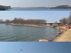 -丁香湖公园