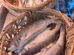-卤鹅鲜生(卤鹅鲜生万科金域悦府店)