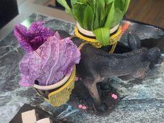 -慢丽江·云南野生菌土鸡锅(西山店)