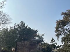 -水绘园