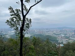 -岳麓山风景名胜区