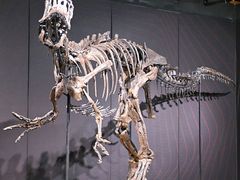 -正佳自然科学博物馆