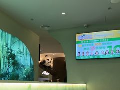 -眉州东坡·熊猫主题餐厅(枫蓝店)