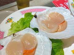 扇贝-燃计沙茶皇·香港沙茶火锅(人广旗舰店)