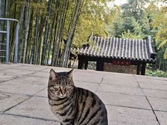-求雨山文化公园