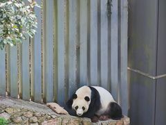 -黔灵山公园