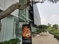 -罗红摄影艺术馆