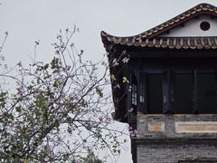 -东莞市可园博物馆