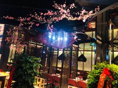 -老板恋上鱼(高新万达店)