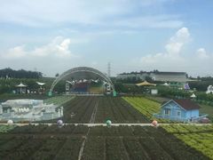 -广州花之恋城堡酒店