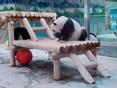 -西安秦岭野生动物园