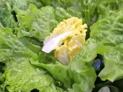 -唇辣号重庆老火锅(燕郊鑫乐汇店)