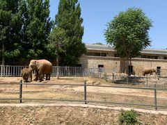 -石家庄市动物园