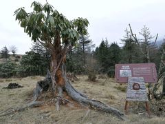 -硗碛藏寨·神木垒景区