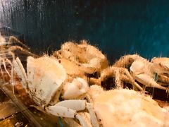 -海九澎湖海鲜餐厅